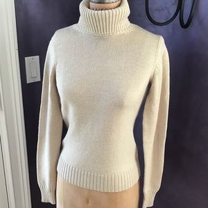 Wool Theory Turtlneck